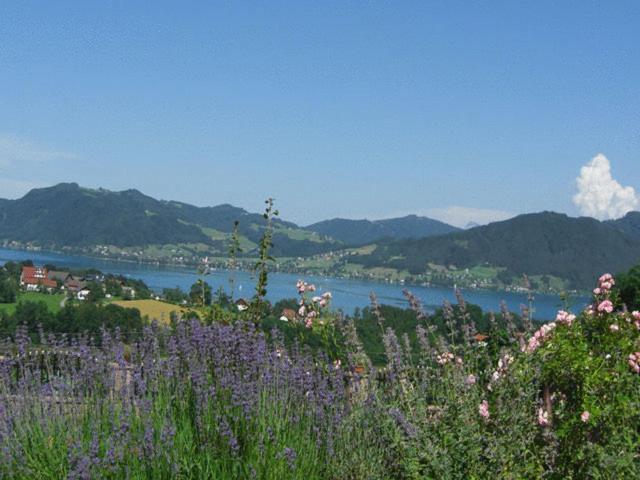 Pension Seeblick Attersee Eksteriør billede